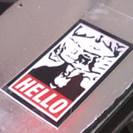 Ski tip with Goatse sticker.